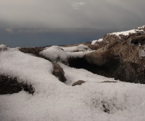 Parque Nacional Los Nevados. Fuente: Flikcr.com Por newbeatle